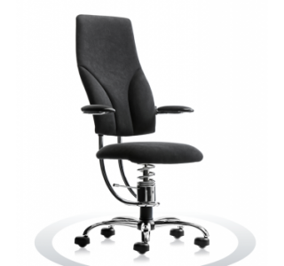 Ergonomische bureaustoel Spinalis Navigator Chrome zwart