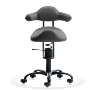 Ergonomische stoel Spinalis Rodeo grijs