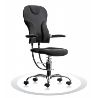 Ergonomische bureaustoel Spinalis Spider Chrome zwart