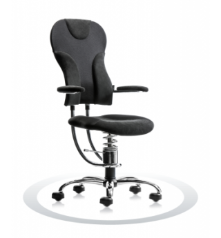 Ergonomische bureaustoel Spinalis Spider Chrome zwart