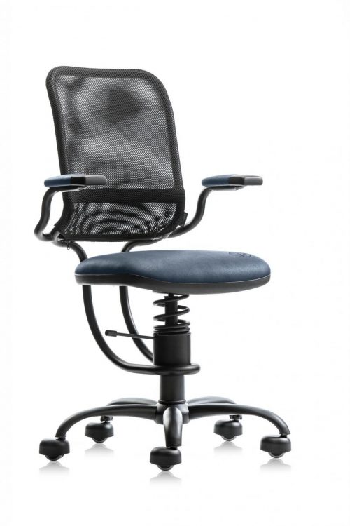 Spinalis Egonomic Blauw R500