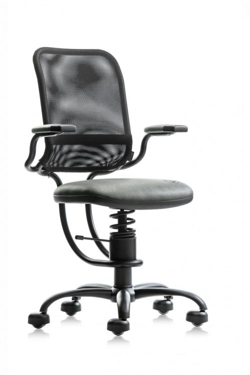 Spinalis Ergonomic grijs