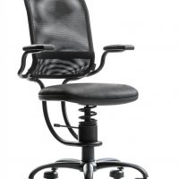 Spinalis Ergonomic Zwart