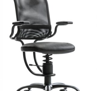 Spinalis Ergonomic Zwart